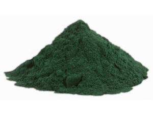 Spirulina alga por